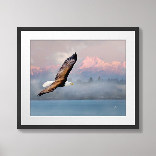 Bald Eagle Over Mountains Washington State Framed Art (Framed Front)