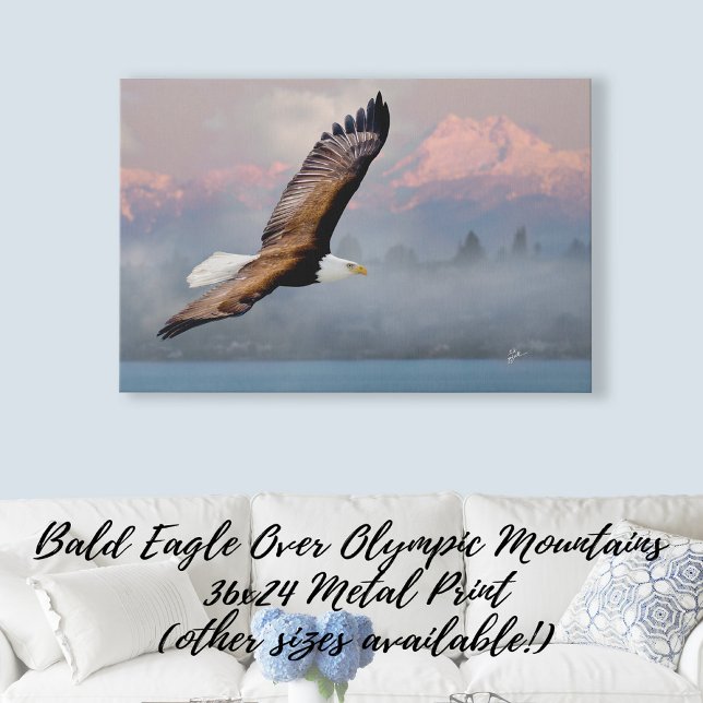 Bald Eagle Over Olympic Mtns Fine Art Photography (Creator Uploaded)