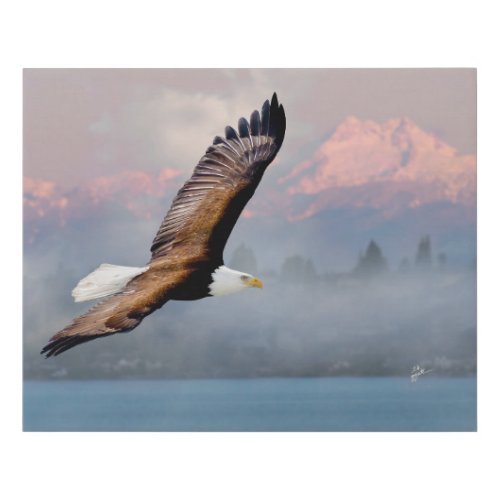 Bald Eagle Over Olympics Lake Washington Fine Art Faux Canvas Print