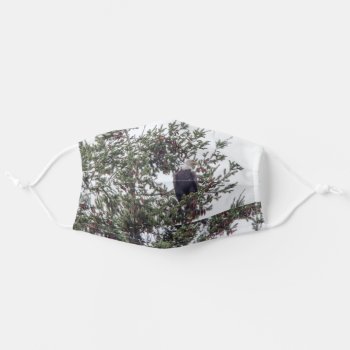 Bald Eagle P2825 Adult Cloth Face Mask by DevelopingNature at Zazzle