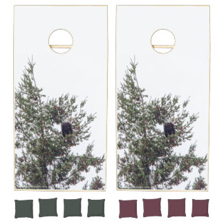 Bald Eagle P2825 Cornhole Set