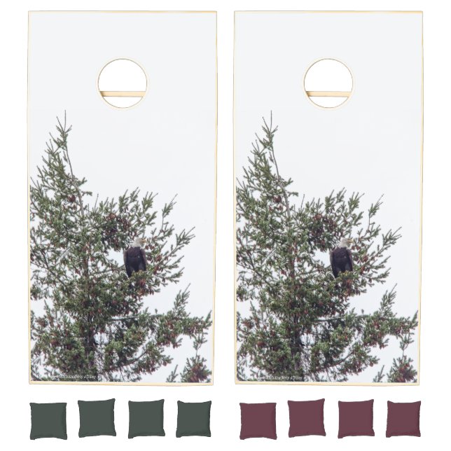 Bald Eagle P2825 Cornhole Set (Set)