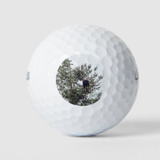 Bald Eagle P2825 Golf Balls