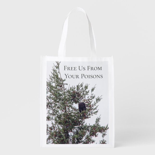 Bald Eagle P2825 Grocery Bag (Front)