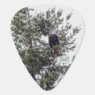 Bald Eagle P2825 Guitar Pick