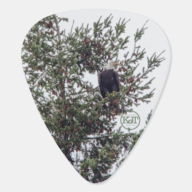 Bald Eagle P2825 Guitar Pick (Back)