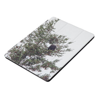 Bald Eagle P2825 iPad Pro Cover