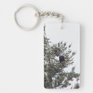 Bald Eagle P2825 Keychain