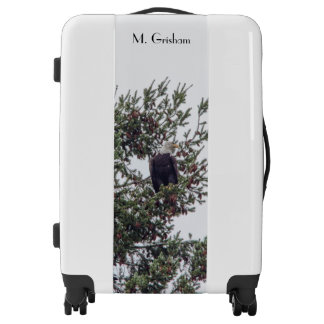 Bald Eagle P2825 Luggage