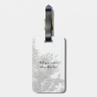 Bald Eagle P2825 Luggage Tag