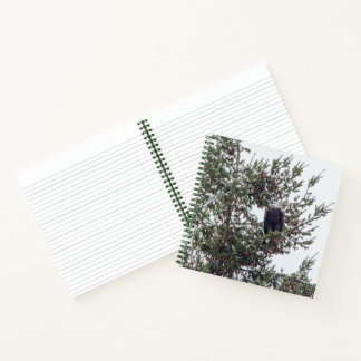 Bald Eagle P2825 Notebook