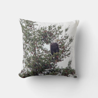 Bald Eagle P2825 Throw Pillow