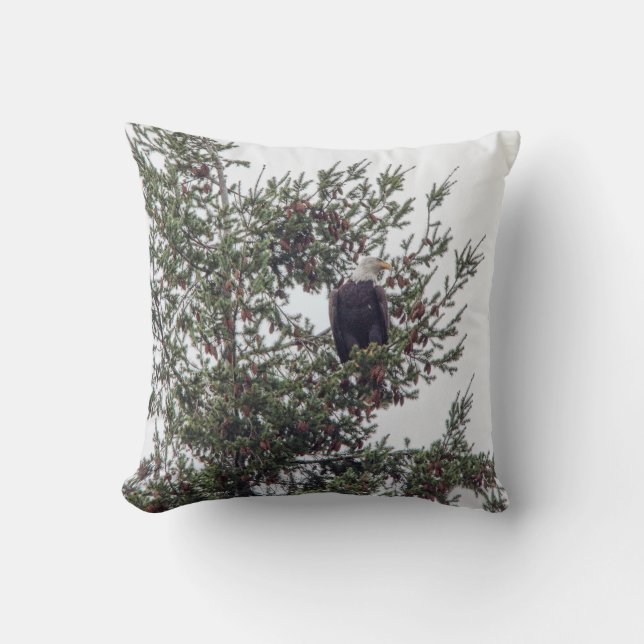 Bald Eagle P2825 Throw Pillow (Front)