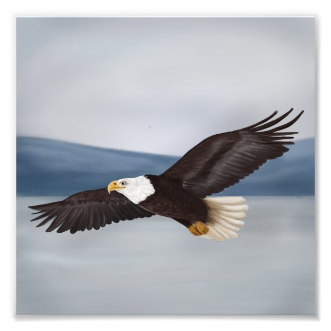 Bald Eagle  Painting Photo Print (Front)