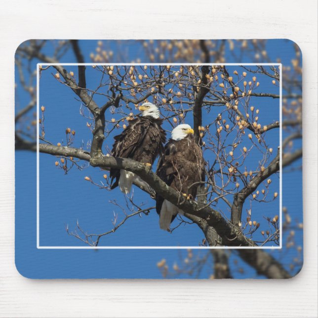Bald Eagle Pair Mouse Pad (Front)