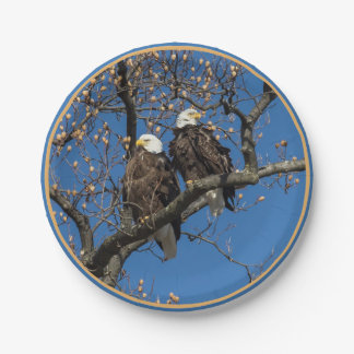 Bald Eagle Pair Paper Plates