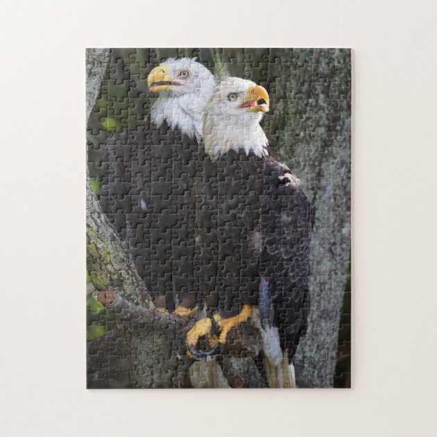 3d pixel puzzle bald eagle