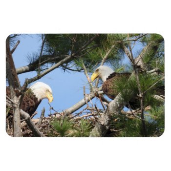 Bald Eagle Pair Tending To Nest  Magnet by minx267 at Zazzle