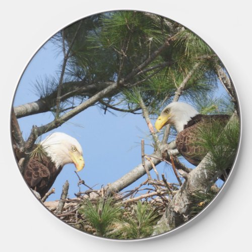 Bald Eagle Pair tending to nest    Wireless Charger