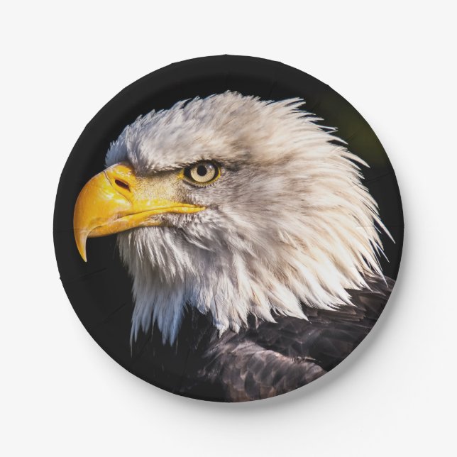 Bald Eagle Paper Plates (Front)