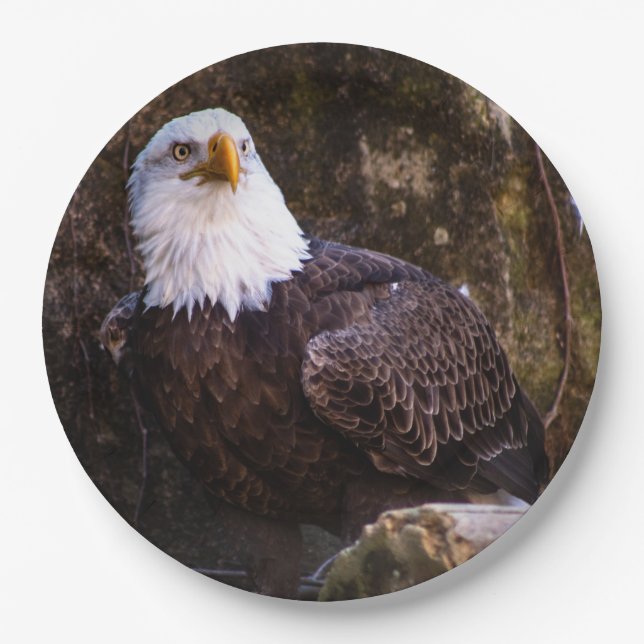 Bald Eagle Paper Plates (Front)