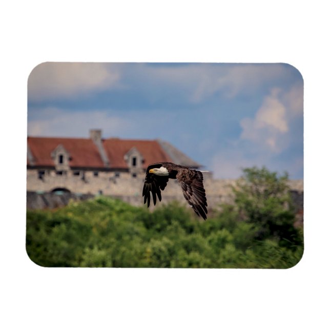 Bald Eagle passing Fort Ticonderoga Magnet (Horizontal)