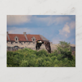 Bald Eagle passing Fort Ticonderoga Postcard