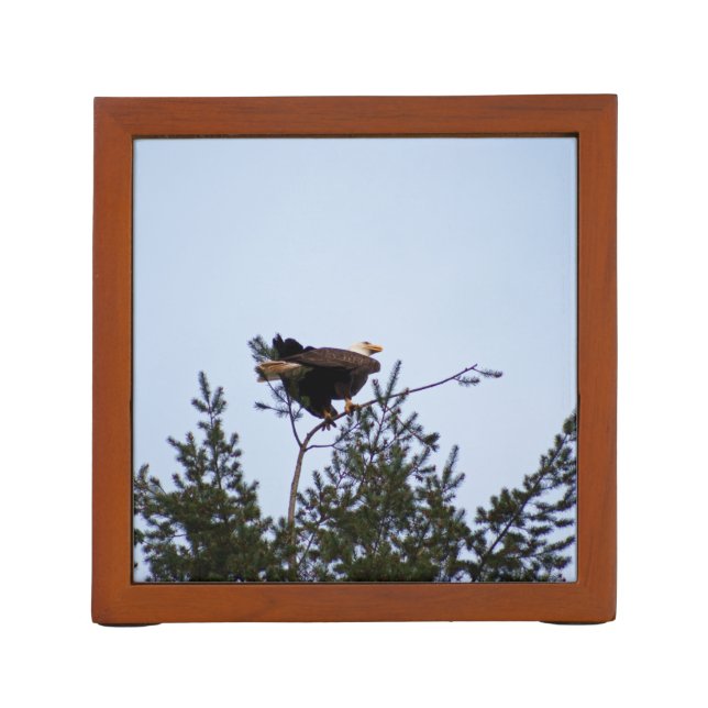 Bald Eagle Pencil Holder (Back)