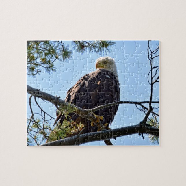 Bald Eagle Perch - 8x10 - 110 pcs. Jigsaw Puzzle (Horizontal)