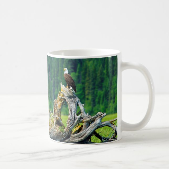 Bald Eagle Perched On Branch Coffee Mug (Right)