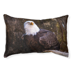 Bald Eagle  Pet Bed
