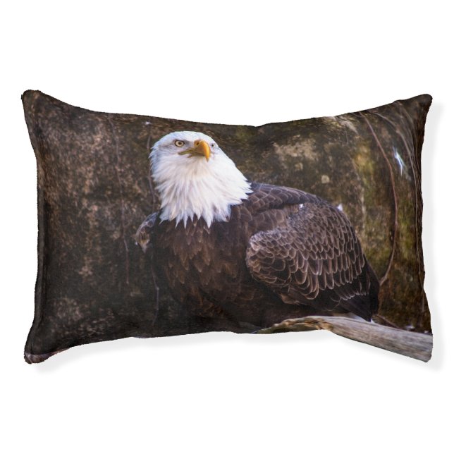 Bald Eagle  Pet Bed (Front)