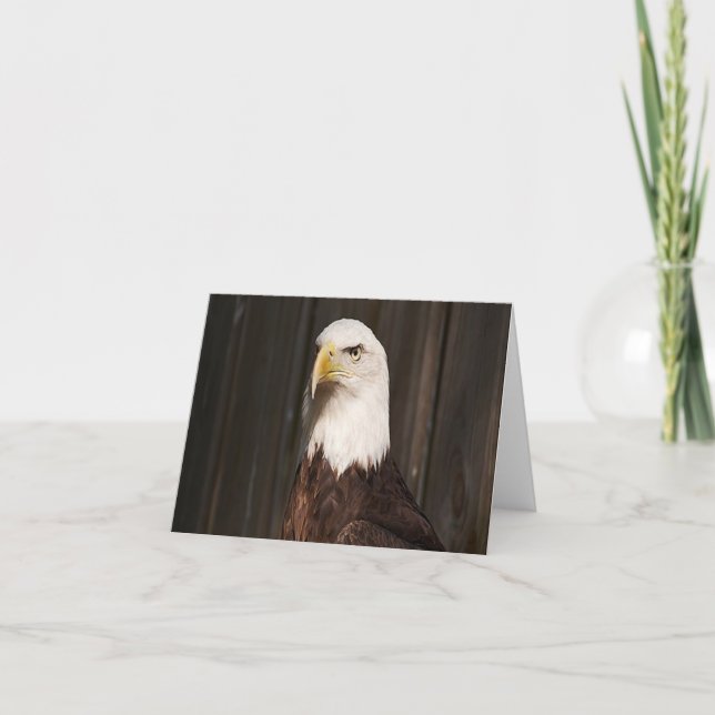 Bald Eagle Photo Folded Note Card (Front)