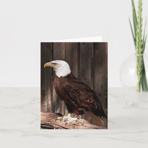 Bald Eagle Photo Folded Note Card