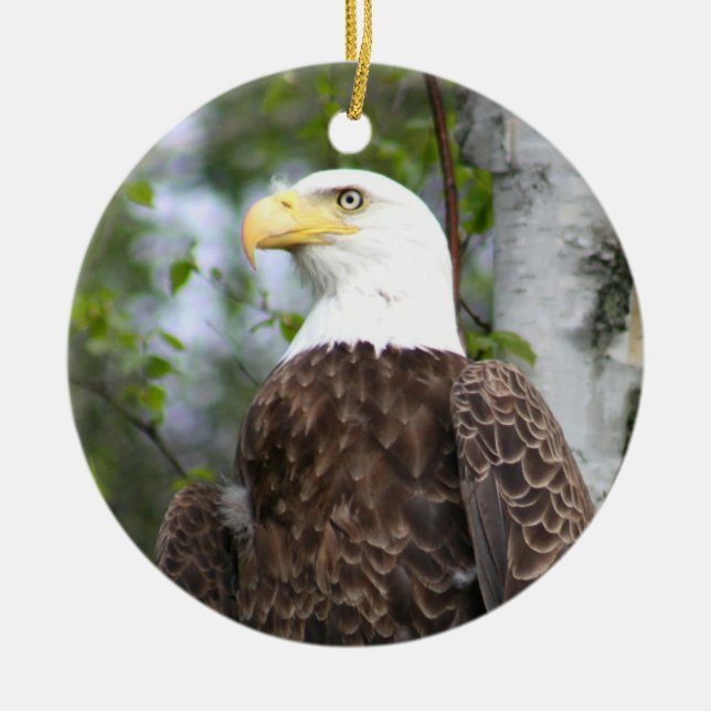 Bald Eagle Photography With Bible Verse Ceramic Ornament (Front)