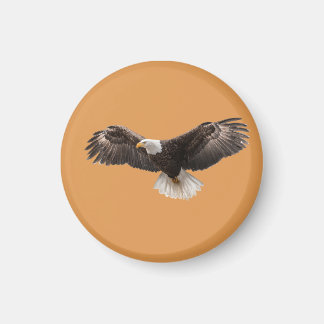 bald eagle pin , commonly sold as magnet