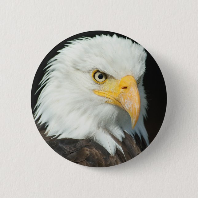Bald Eagle Pinback Button (Front)