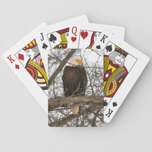 Bald Eagle Pinery Narrows Poker Cards