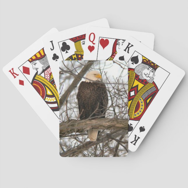Bald Eagle Pinery Narrows Poker Cards (Back)