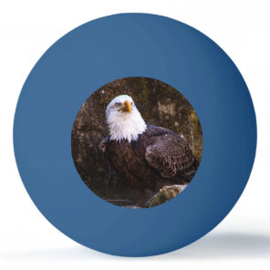 Bald Eagle Ping Pong Ball