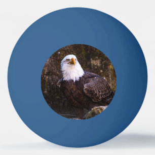 Bald Eagle Ping Pong Ball