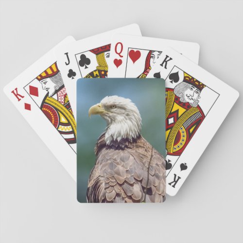 Bald Eagle Playing Cards