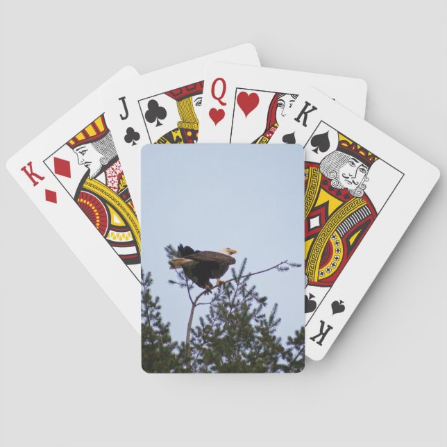 Bald Eagle Poker Cards (Back)