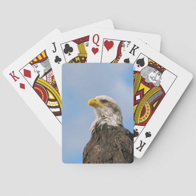 Bald Eagle Poker Cards (Back)