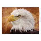 Bald Eagle Portrait (Front Horizontal)