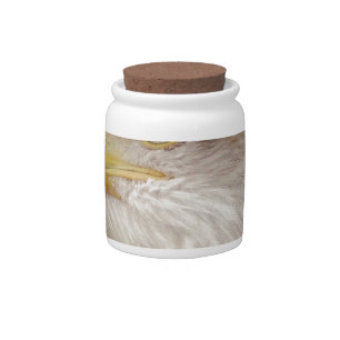Bald Eagle Portrait Candy Jar