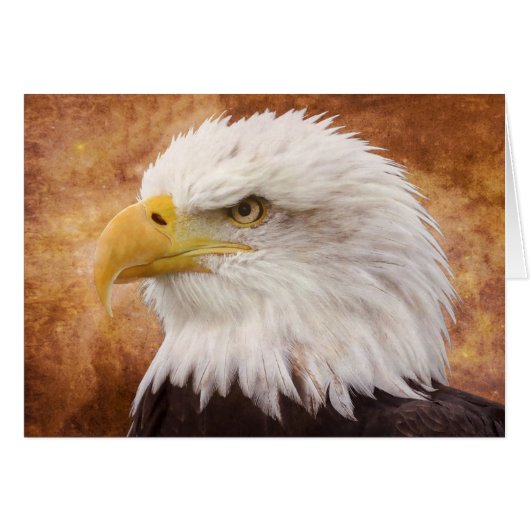 Bald Eagle Portrait Cards (Front Horizontal)