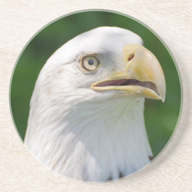 Bald Eagle Portrait Coaster (Front)