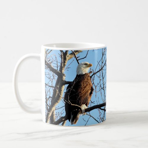 Bald Eagle Portrait Coffee Mug