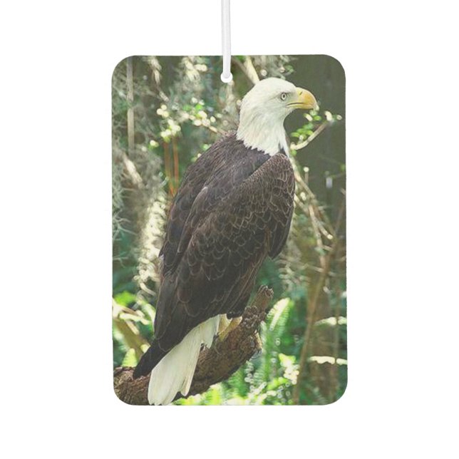 Bald Eagle Portrait Rectangle Air Freshener (Front)